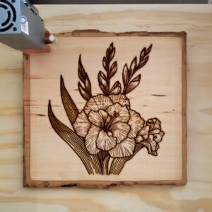 524695_wood-laser-1.jpg
