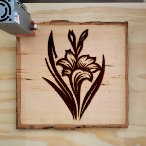 524896_wood-laser-1.jpg