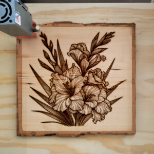 524922_wood-laser-1.jpg