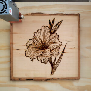 524937_wood-laser-1.jpg
