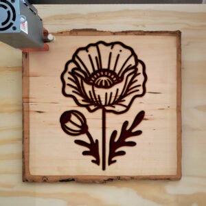 525030_wood-laser-1.jpg
