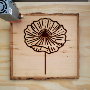 525038_wood-laser-1.jpg