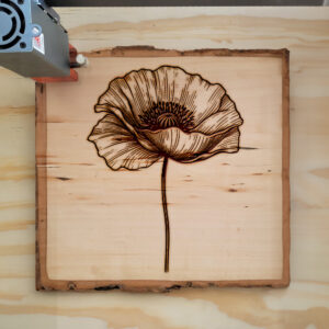 525047_wood-laser-1.jpg
