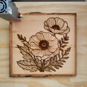 525059_wood-laser-1.jpg