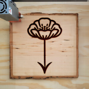 525086_wood-laser-1.jpg