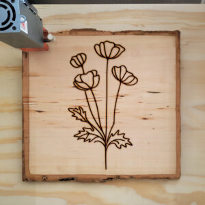 525108_wood-laser-1.jpg