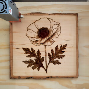 525123_wood-laser-1.jpg