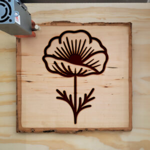 525128_wood-laser-1.jpg