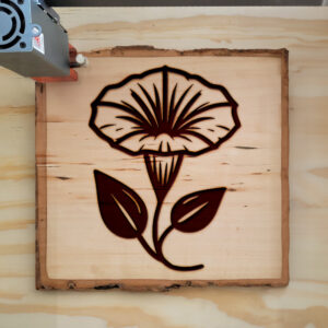 525164_wood-laser-1.jpg