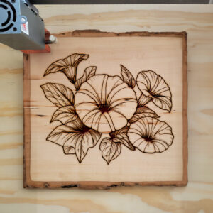 525167_wood-laser-1.jpg