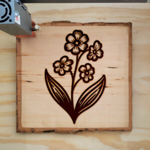 525215_wood-laser-1.jpg