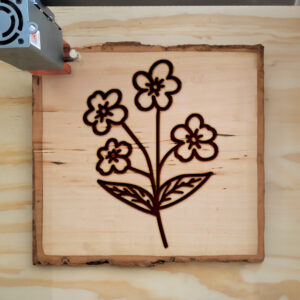 525224_wood-laser-1.jpg
