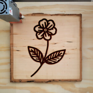 525227_wood-laser-1.jpg