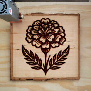 525342_wood-laser-1.jpg
