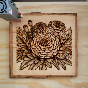 525355_wood-laser-1.jpg