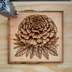 525396_wood-laser-1.jpg