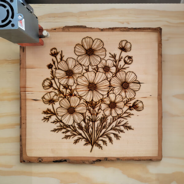 525575_wood-laser-1.jpg