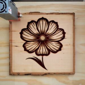 525584_wood-laser-1.jpg