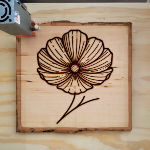 525648_wood-laser-1.jpg