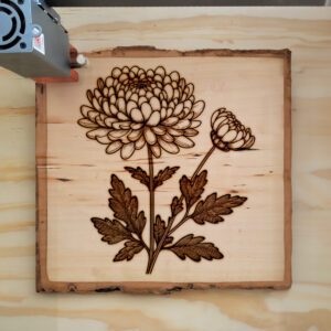 525679_wood-laser-1.jpg