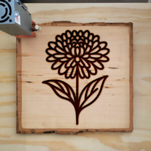 525703_wood-laser-1.jpg