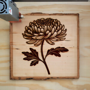 525705_wood-laser-1.jpg