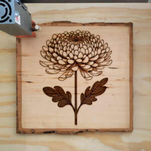 525711_wood-laser-1.jpg