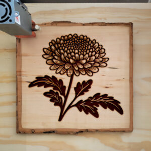 525716_wood-laser-1.jpg