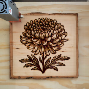 525727_wood-laser-1.jpg