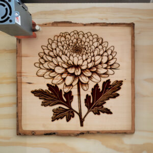 525739_wood-laser-1.jpg