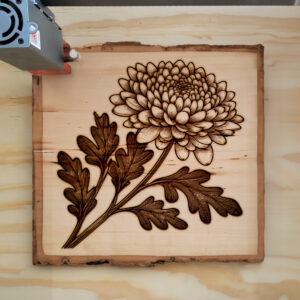 525755_wood-laser-1.jpg