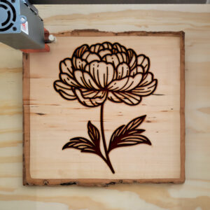 525816_wood-laser-1.jpg