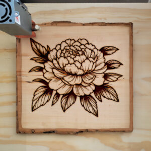 525819_wood-laser-1.jpg