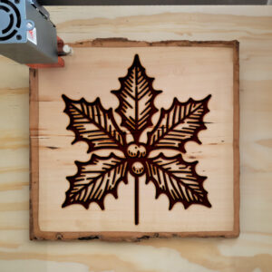 526018_wood-laser-1.jpg