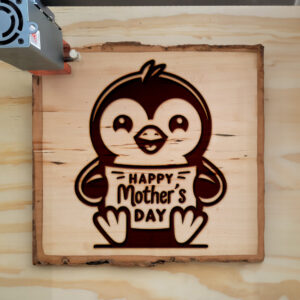 531989_wood-laser-1.jpg