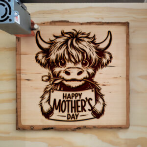 532067_wood-laser-1.jpg