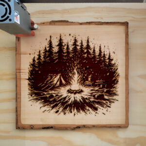 532154_wood-laser-1.jpg
