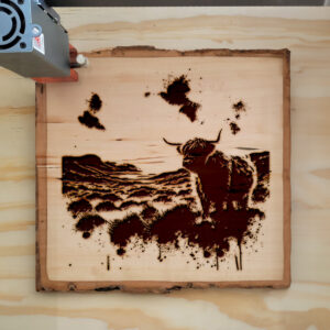 532176_wood-laser-1.jpg