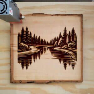 532182_wood-laser-1.jpg