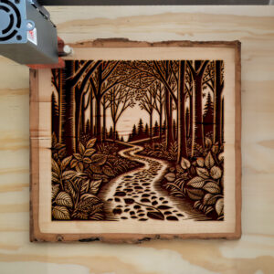 532190_wood-laser-1.jpg
