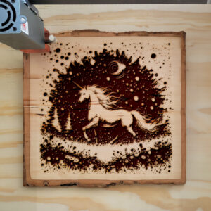 532213_wood-laser-1.jpg