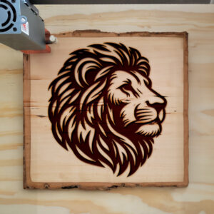 532242_wood-laser-1.jpg