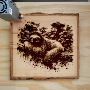 532255_wood-laser-1.jpg