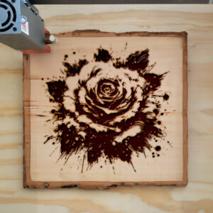 532683_wood-laser-1.jpg