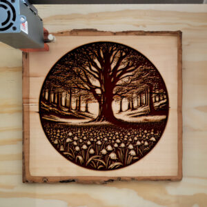 532700_wood-laser-1.jpg