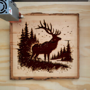 532707_wood-laser-1.jpg