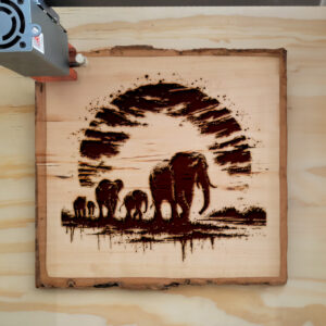 532709_wood-laser-1.jpg