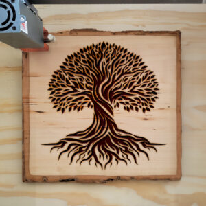 532731_wood-laser-1.jpg