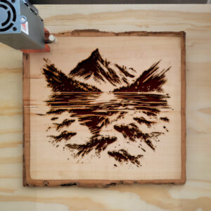 532756_wood-laser-1.jpg