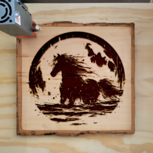 532783_wood-laser-1.jpg